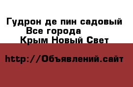 Гудрон де пин садовый - Все города  »    . Крым,Новый Свет